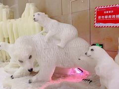 -宁波冰雪大世界(北仑区)