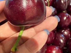 -西郊国际农产品交易中心