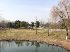-贡湖湾湿地公园