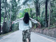 -西双版纳原始森林公园