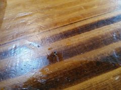 -庄老幺火锅(娄山关路店)