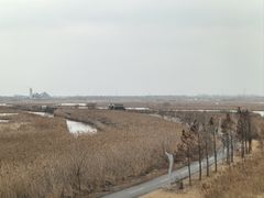 -盐城丹顶鹤湿地生态旅游区
