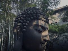 -杭州植物园