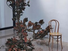 -桉树林A coffee 森林餐厅(三圣乡店)