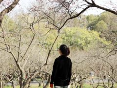 -无锡梅园公园