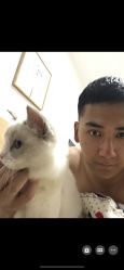 -T.D Salon私人定制