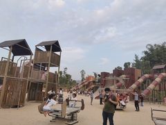 -枫香湖儿童公园