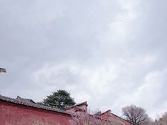 -五台山风景名胜区