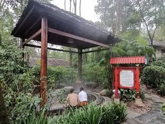 -青城道汤池