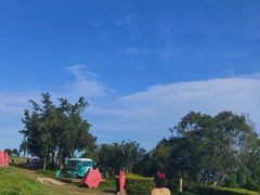 -漳州滨海火山岛自然生态风景区