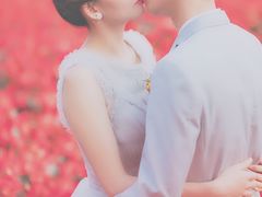 -百万葵园