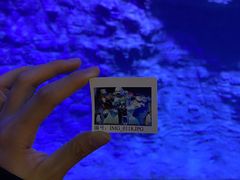 -海合安青岛极地海洋公园