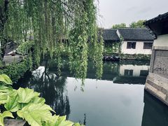 -鲁镇