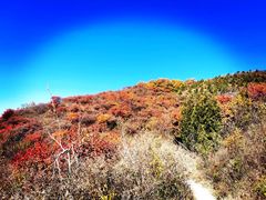 -北京西山国家森林公园