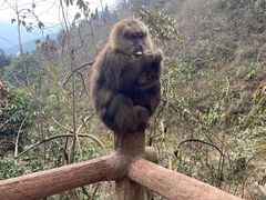 -九峰山