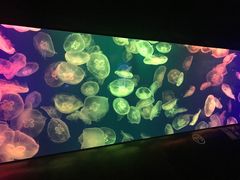 -成都浩海立方海洋公园