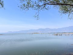 -野鸭湖国家湿地公园