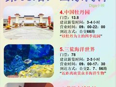 -曹州牡丹园