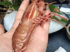 -上宴精品海鲜姿造(晶融汇旗舰店)