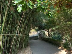 -石老人观光园