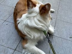 -星巴克(上海长宁来福士1F店)
