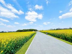 -中国天府农业博览园