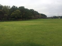 -昆山城市生态森林公园