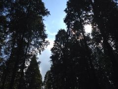 iphone_upload_pic-上海怡沁园度假酒店