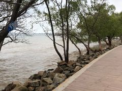 -宝安西湾红树林湿地公园