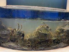 -海天盛宴新派海鲜自助餐厅(群力店)