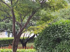 -苏宁易购(上海沪太路二店)