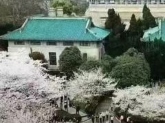 -东湖落雁景区