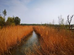 -野鸭湖国家湿地公园
