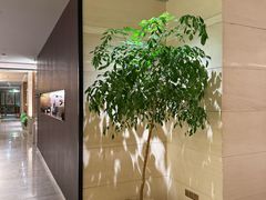 -汤泉良子·沐足·颂钵疗愈·SPA(珠江新城店)
