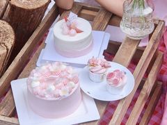 -壹点壹客·生日蛋糕(南山店)