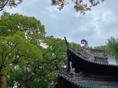 -枣子树·素食餐厅(普陀山店)