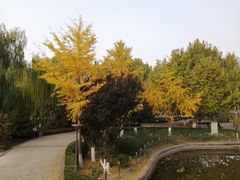 -康庄公园