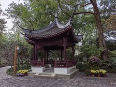 -上海醉白池公园