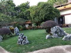 -深圳仙湖植物园