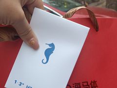 -海马体照相馆(大连罗斯福广场店)