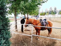 -兴芮温泉度假区