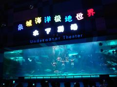 -泉城欧乐堡海洋极地世界