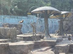 -宁波野生动物园