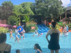 -苏州乐园森林水世界