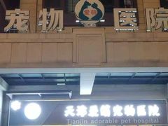 -美联众合宠物医院·爱萌分院·内外科·猫科中心