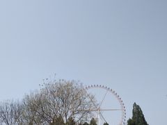 -石家庄市动物园