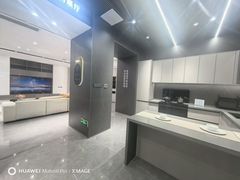 -点石家装(新化店)