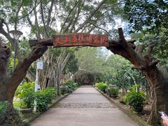 -海口火山口国家地质公园