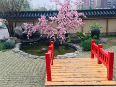 -大江户·温泉洗浴(浑南店)