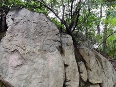 -阳台山自然风景区